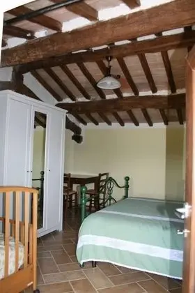 Family Oda (Cinghiale)