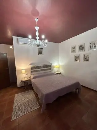 Deluxe Oda, 2 Çift Kişilik Yatak (Viola)