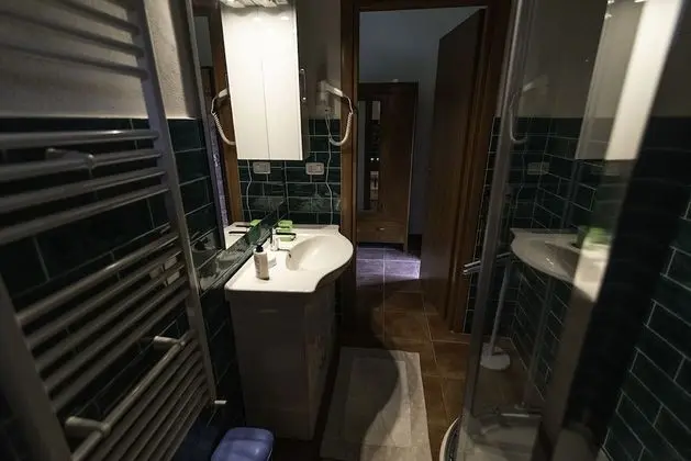 Deluxe Tek Büyük veya İki Ayrı Yataklı Oda (Verde)