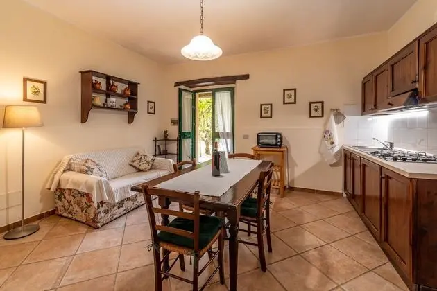 Apart Daire, 1 Yatak Odası (Olivo C)