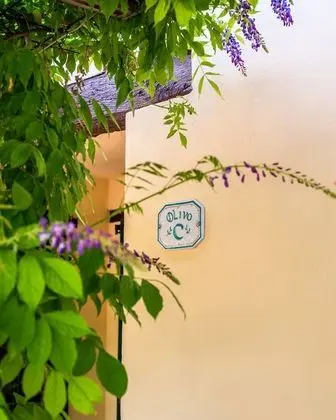 Apart Daire, 1 Yatak Odası (Olivo C)