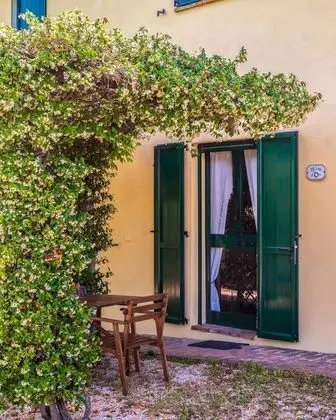 Apart Daire, 1 Yatak Odası (Olivo D)