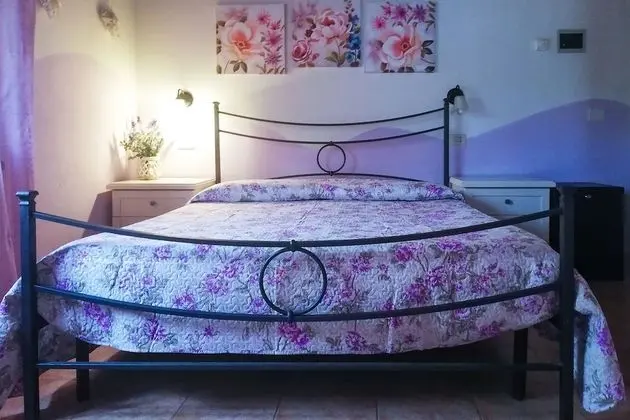 Superior Tek Büyük Yataklı Oda, 1 Yatak Odası, Teras, Park Manzaralı