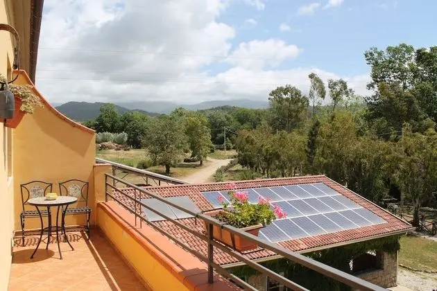 Comfort Üç Kişilik Oda