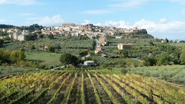 Panoramic Oda, Teras, Vadi Manzaralı