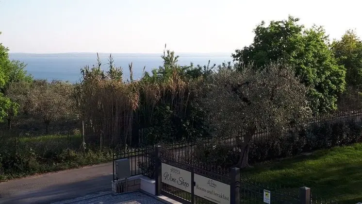 Superior Tek Büyük veya İki Ayrı Yataklı Oda, Balkon