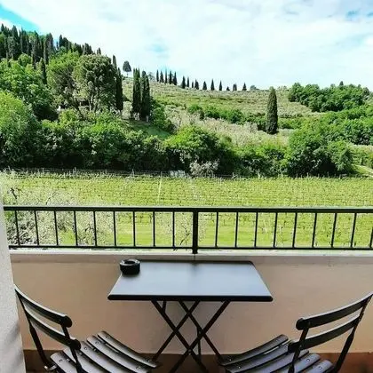 Superior Tek Büyük veya İki Ayrı Yataklı Oda, Balkon, Üzüm Asması Manzaralı