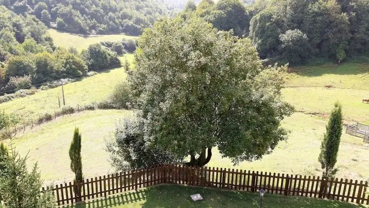 Superior Oda, 1 Çift Kişilik Yatak, Balkon
