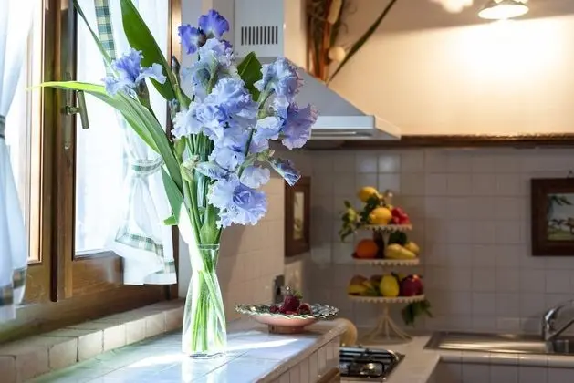 Apart Daire, 1 Yatak Odası, Mutfak