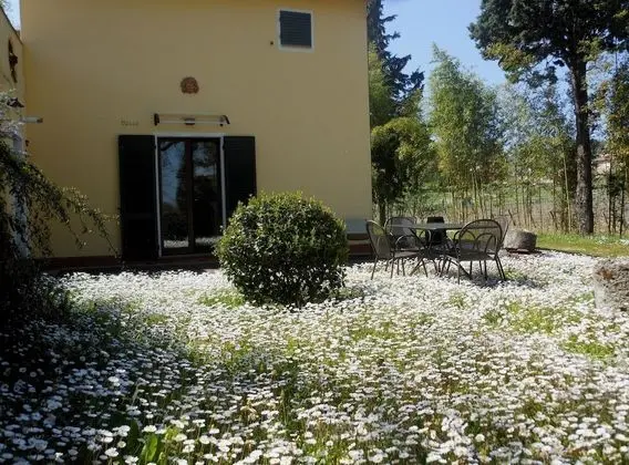 Comfort Apart Daire, 2 Yatak Odası