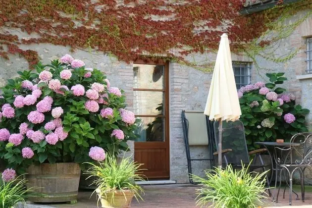 Deluxe Tek Büyük Yataklı Oda, 1 Çift Kişilik veya 2 Tek Kişilik Yatak