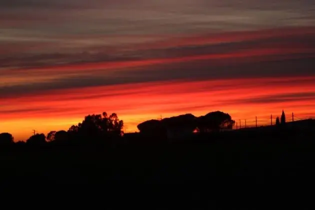 Family Oda (Fienile)