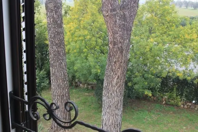 Premium Oda (Piccionaia)