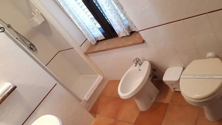 Premium Oda (Piccionaia)