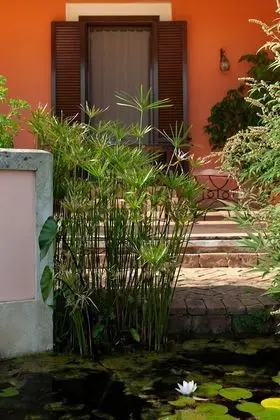 Comfort Tek Büyük Yataklı Oda, 1 Büyük (Queen) Boy Yatak, Veranda