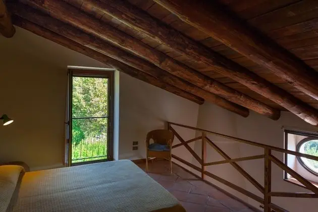 Tek Büyük Yataklı Oda, Teras, Bahçe Manzaralı