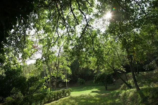 Tek Kişilik Oda, Bahçe Manzaralı