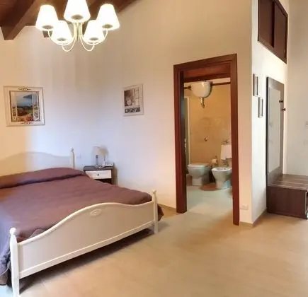 Comfort Tek Büyük Yataklı Oda, Havuz Manzaralı (Oleandro)