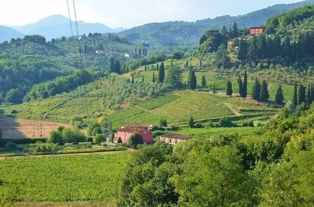 Apart Daire, 2 Yatak Odası, Sigara İçilmez (Monte)