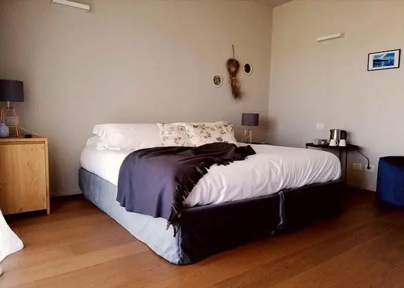 Superior Tek Büyük Yataklı Oda