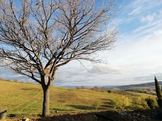 Superior Tek Kişilik Oda