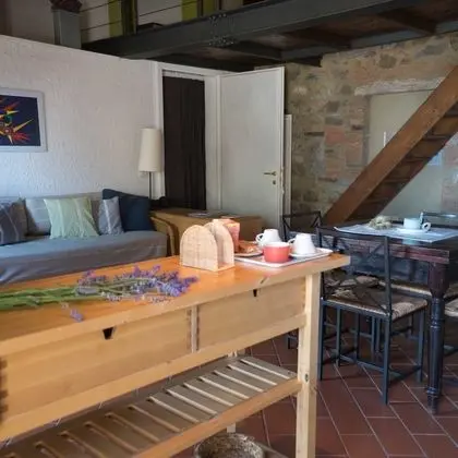 Comfort Tek Büyük Yataklı Oda, Bahçe Manzaralı