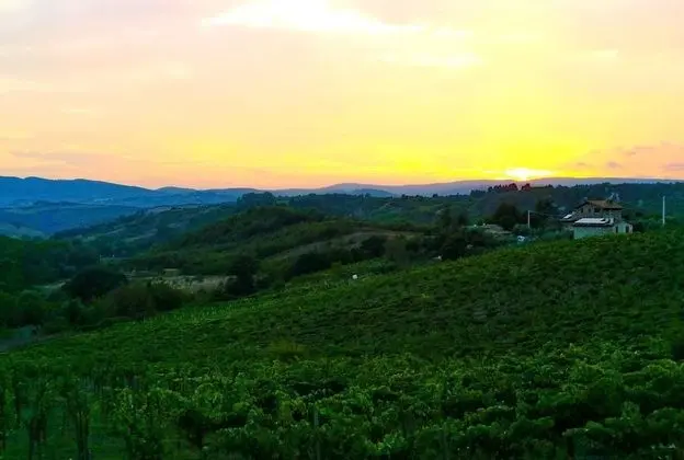 Tek Büyük Yataklı Oda, Özel Banyo