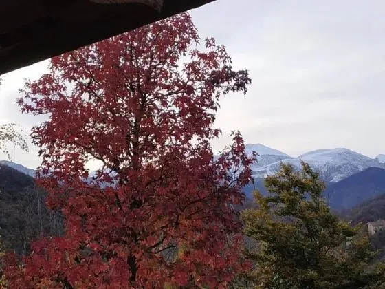 Comfort Oda, Dağ Manzaralı (Monviso)