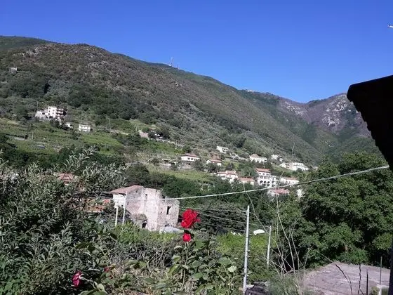 Tek Büyük Yataklı Oda, Balkon