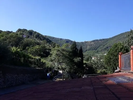 Üç Kişilik Oda