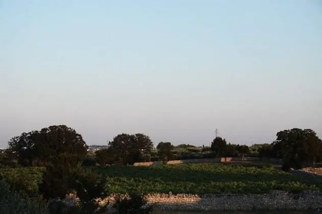 Classic Oda, Bahçe Manzaralı