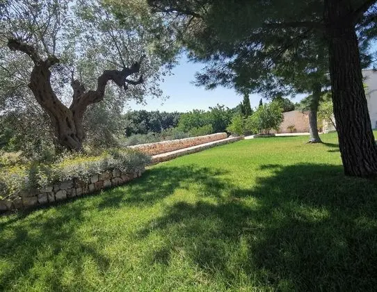 Basic Üç Kişilik Oda, Birden Çok Yatak, Sigara İçilmez