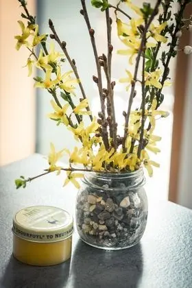 Stüdyo, Bahçe Manzaralı