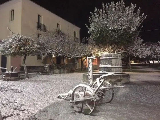 Tek Büyük veya İki Ayrı Yataklı Oda