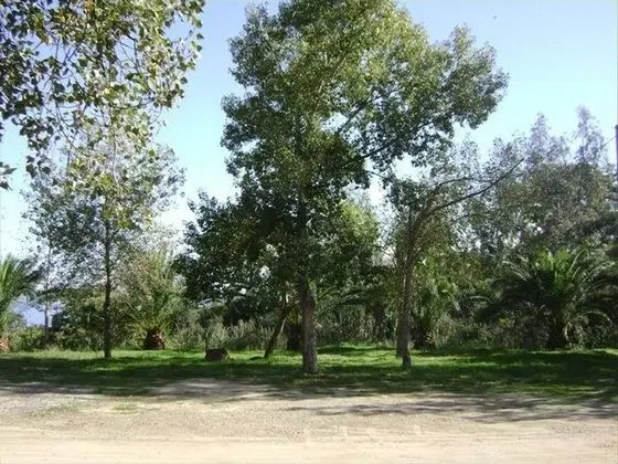 Standard Tek Büyük veya İki Ayrı Yataklı Oda, 1 Yatak Odası, Deniz Manzaralı