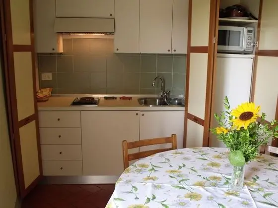 Apart Daire, 1 Yatak Odası