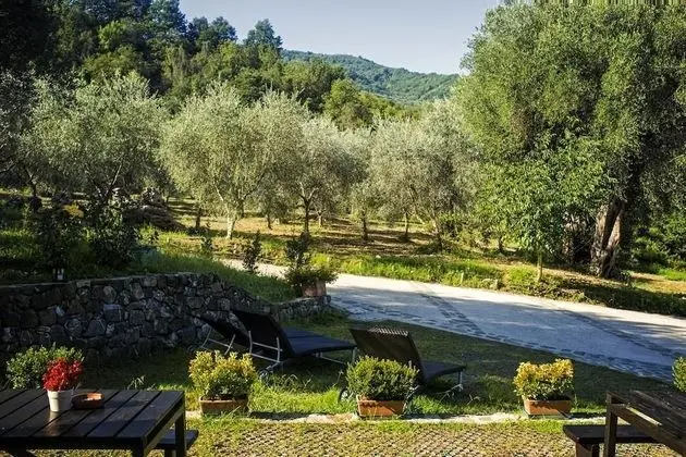 Standard Üç Kişilik Oda, Bahçe Manzaralı