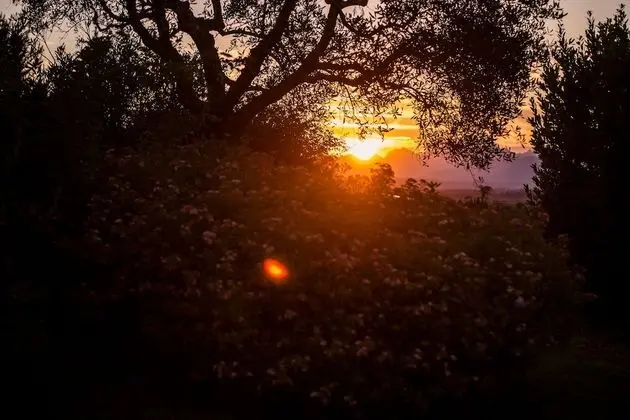 Apart Daire, 2 Banyolu (6 Posti letto)