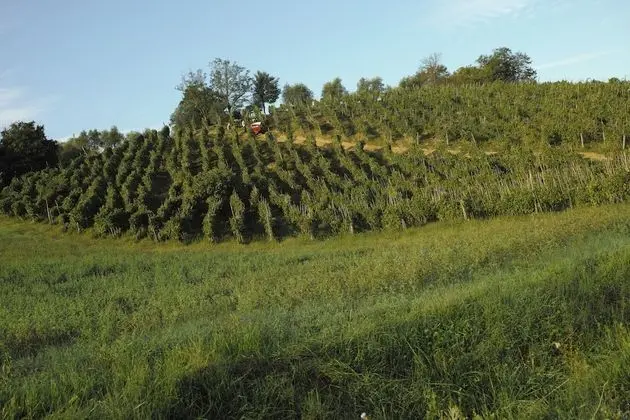 Tek Büyük Yataklı Oda, 1 Çift Kişilik Yatak, Engellilere Uygun, Zemin Kat