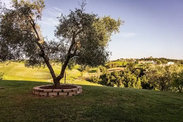 Tek Büyük Yataklı Oda, 1 Çift Kişilik Yatak, Engellilere Uygun, Zemin Kat