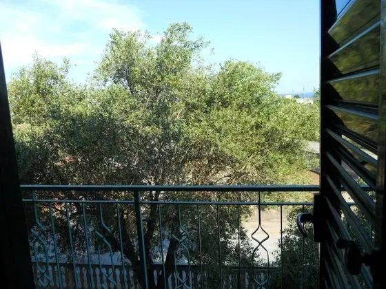 Tek Büyük veya İki Ayrı Yataklı Oda, Üzüm Asması Manzaralı