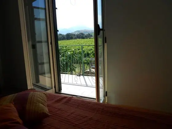 Tek Büyük veya İki Ayrı Yataklı Oda, Üzüm Asması Manzaralı