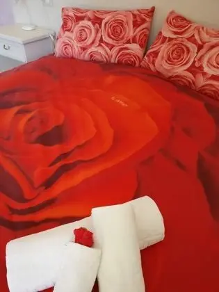 Superior Tek Büyük veya İki Ayrı Yataklı Oda