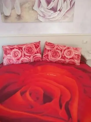 Superior Tek Büyük veya İki Ayrı Yataklı Oda