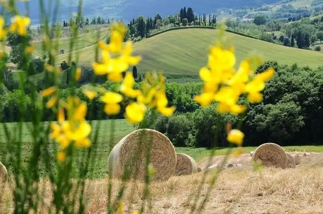 Villa, Kişiye Özel Havuzlu