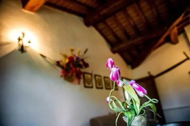 Standard Apart Daire, 1 Yatak Odası