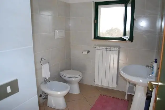 Basic Üç Kişilik Oda, Tepe Manzaralı