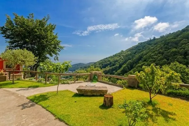 Standard Tek Büyük Yataklı Oda, Bahçe Manzaralı