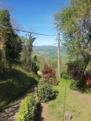 Oda, Engellilere Uygun, Bahçe Manzaralı