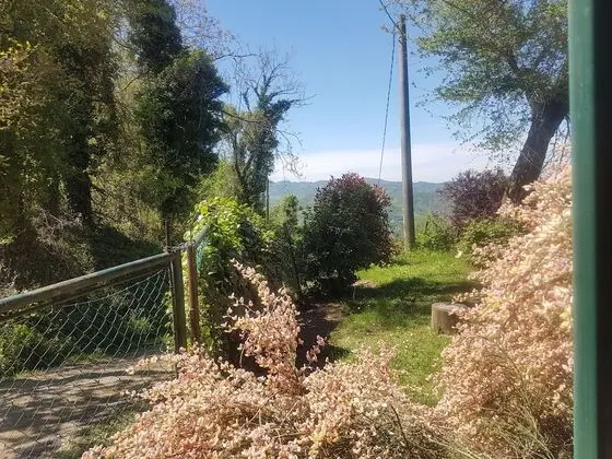 Oda, Engellilere Uygun, Bahçe Manzaralı